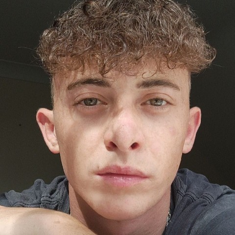 James Vine - Linkfly