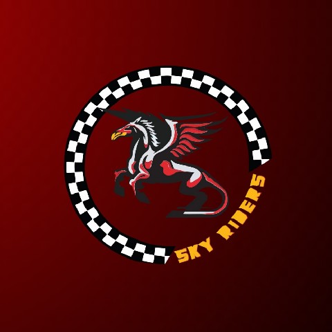 SKYRIDERS - Linkfly