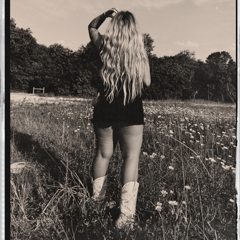 Kallherkittyy - Linkfly