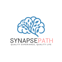 Synapse Path - Linkfly